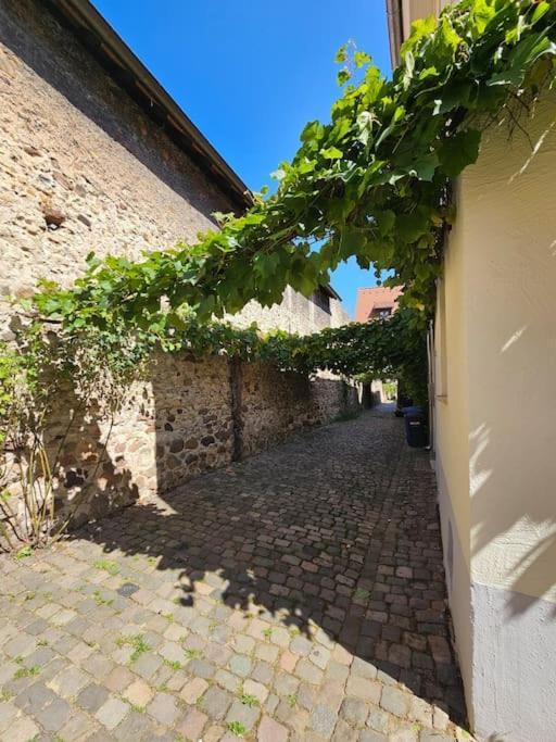 Casa Ciconia - Ueber Den Daechern Der Altstadt Freinsheim Exteriör bild